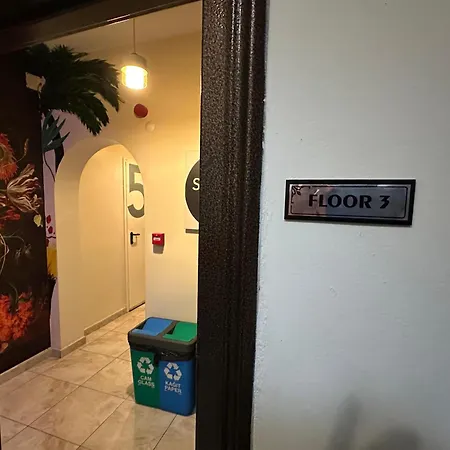 Social House Hotel *
