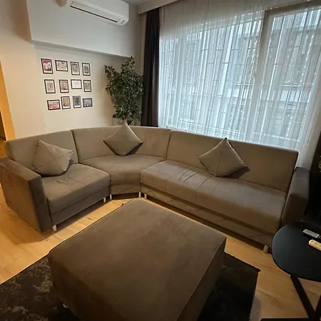 Social House *