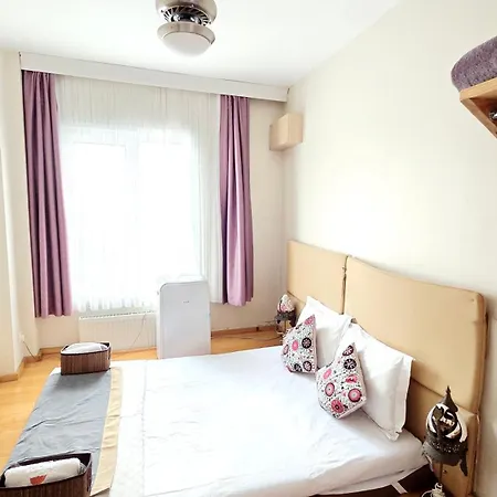 Social House Hotel